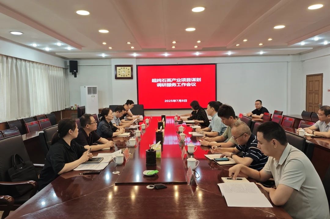 【项目谋划】市发改委领导莅临开发区调研指导超纯石英产业项目谋划工作