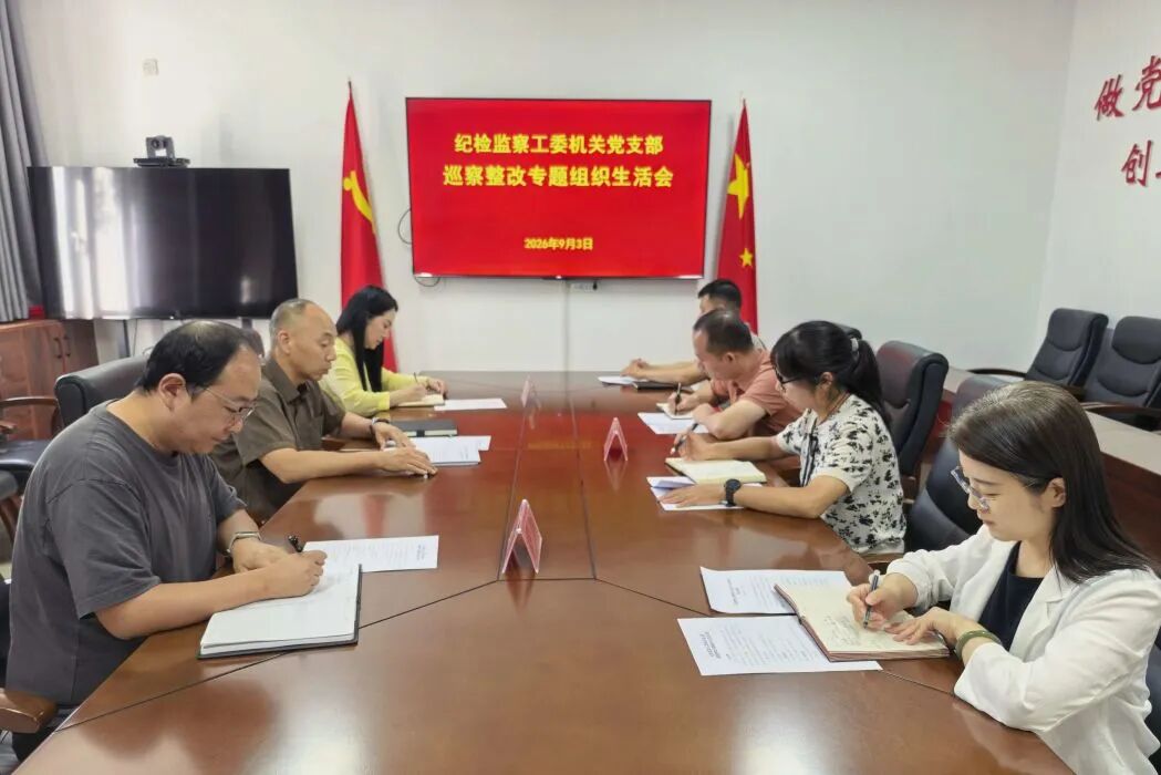 【工作会议】纪检监察工委党支部召开巡察整改专题组织生活会